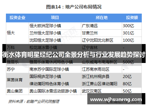 衡水体育明星经纪公司全景分析与行业发展趋势探讨