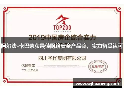 阿尔法-卡巴荣获最佳网络安全产品奖，实力备受认可